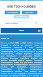 Mobile Screenshot of bskmeters.com